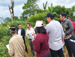 Sengketa Tanah di PN Sidikalang, Kuasa Hukum Sarah Sagala Soroti Dugaan Kejanggalan Dokumen
